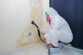 Mold Remediation for Vacation Homes